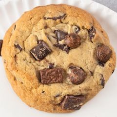 Chocolate Chip Cookie